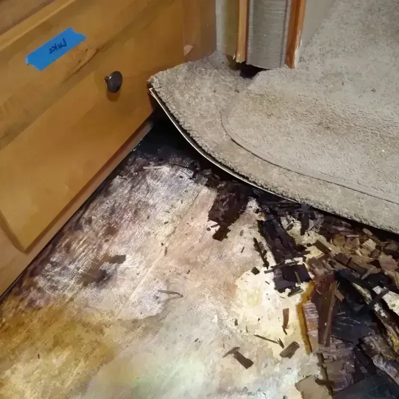 Wood Floor Water Damage in Highwood, IL